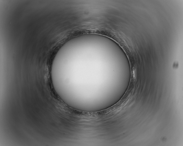 X0000102831347200808181039