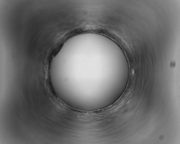X0000102831348200808181039