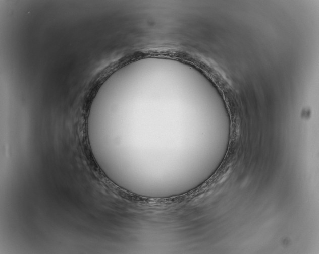 X0000102831350200808181039