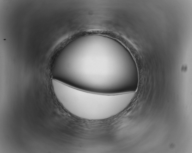 X0000102831351200808181039