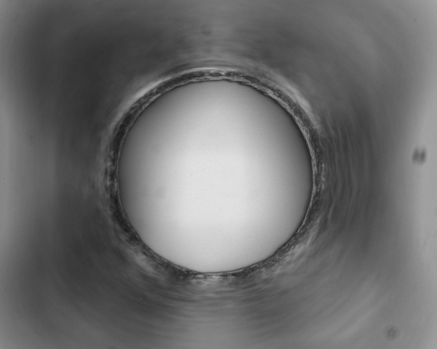 X0000102831352200808181039