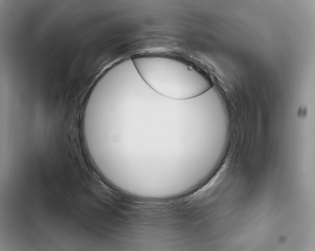 X0000102831353200808181039