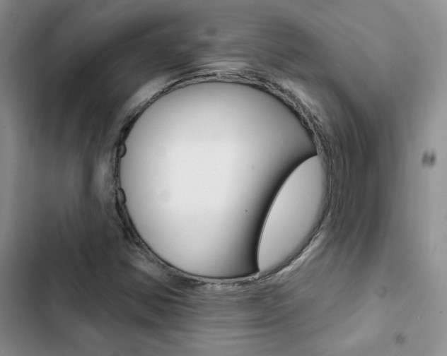 X0000102831354200808181039