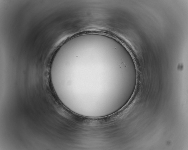 X0000102831355200808181039