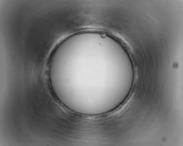 X0000102831357200808181039