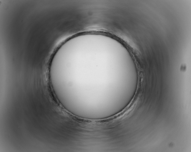 X0000102831358200808181039