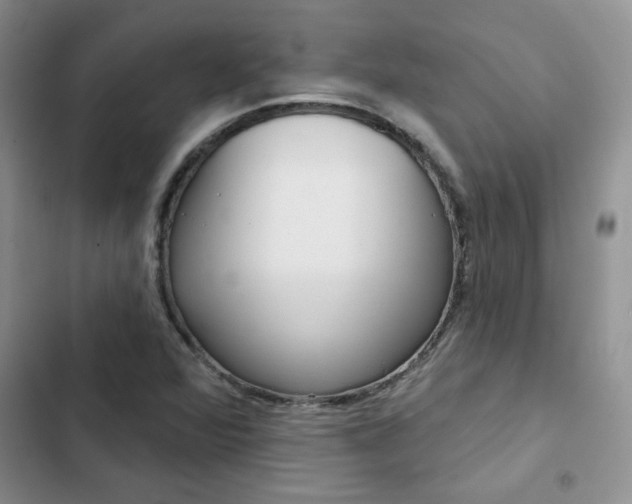 X0000102831360200808181039