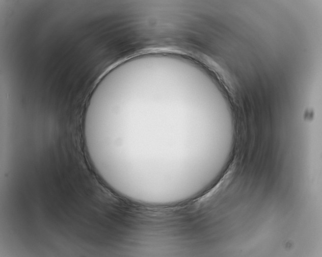 X0000102831361200808181039