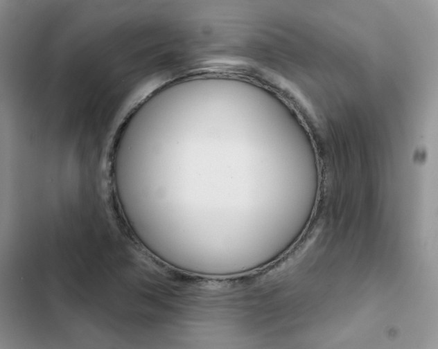 X0000102831362200808181039