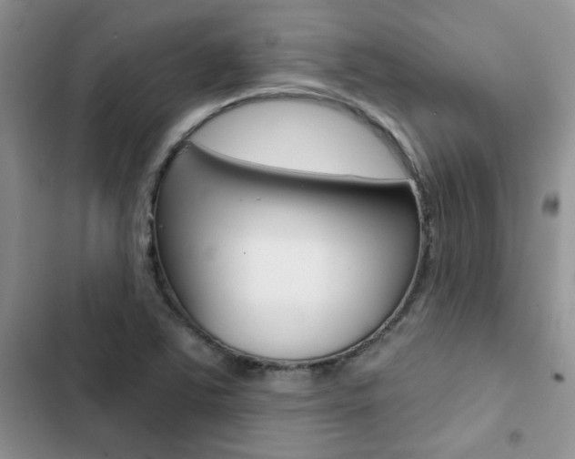 X0000102831363200808181039