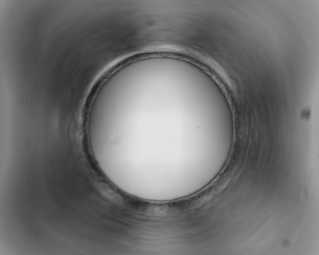 X0000102831364200808181039
