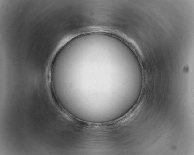 X0000102831365200808181039