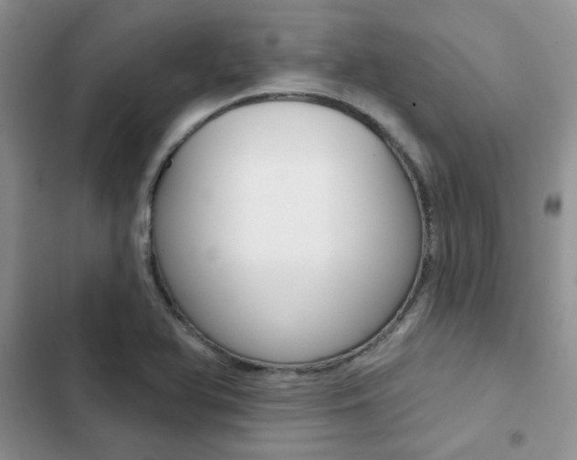 X0000102831366200808181039