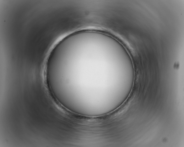 X0000102831367200808181039