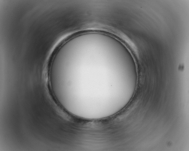 X0000102831368200808181039