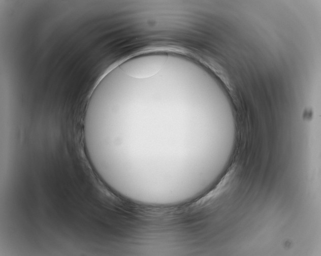 X0000102831369200808181039