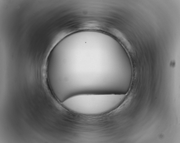 X0000102831370200808181039