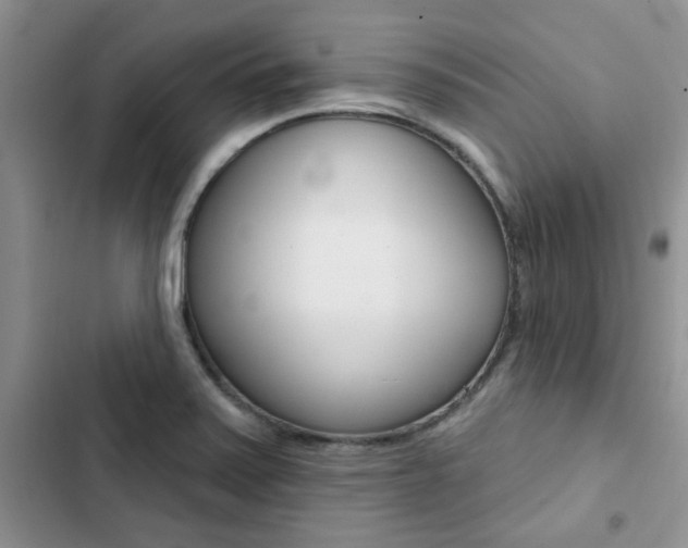 X0000102831371200808181039