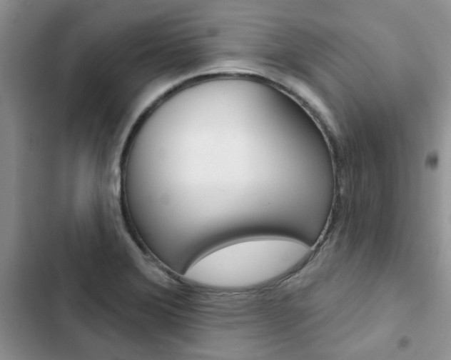 X0000102831372200808181039