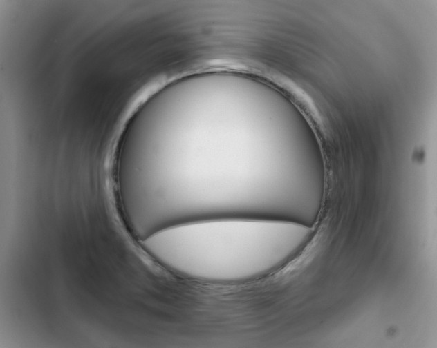 X0000102831373200808181039