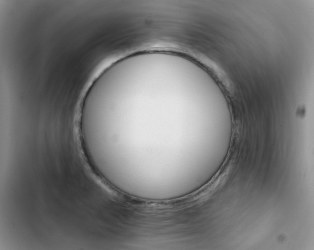 X0000102831374200808181039