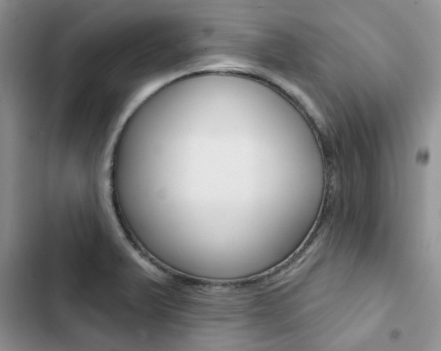 X0000102831375200808181039