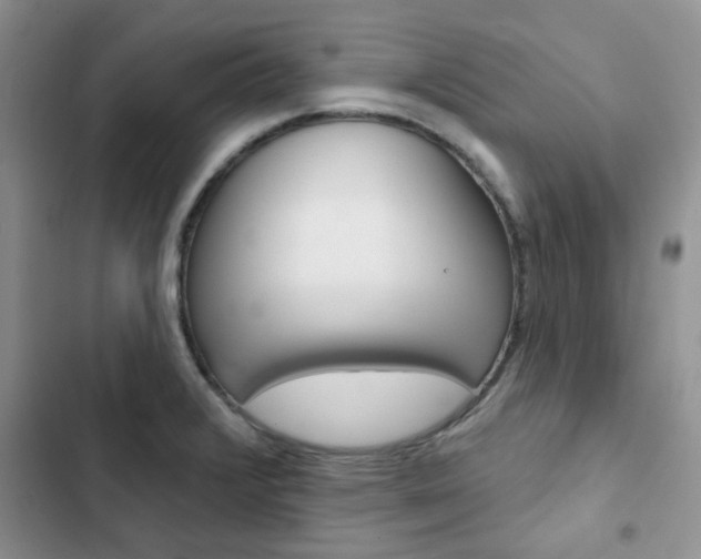 X0000102831376200808181039