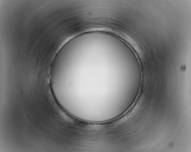 X0000102831377200808181039