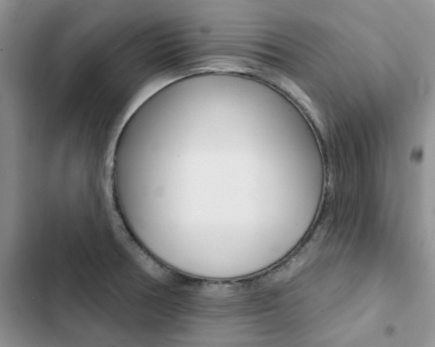 X0000102831378200808181039