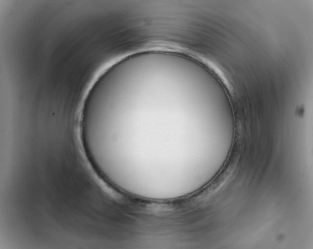 X0000102831379200808181039
