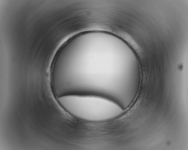 X0000102831380200808181039