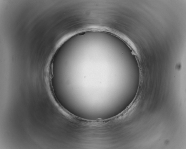 X0000102831381200808181039