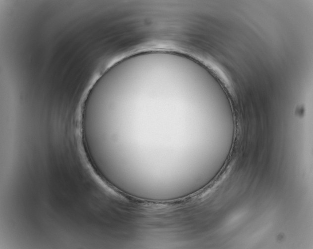 X0000102831382200808181039