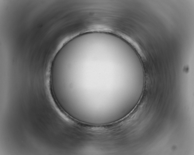 X0000102831383200808181039