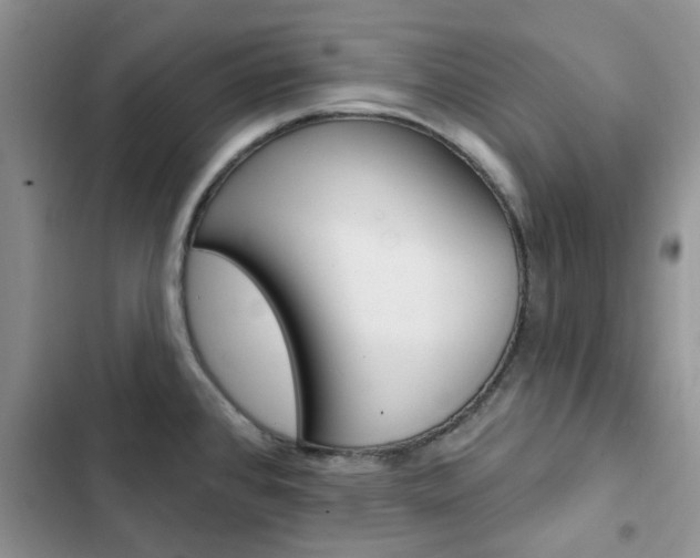 X0000102831384200808181039
