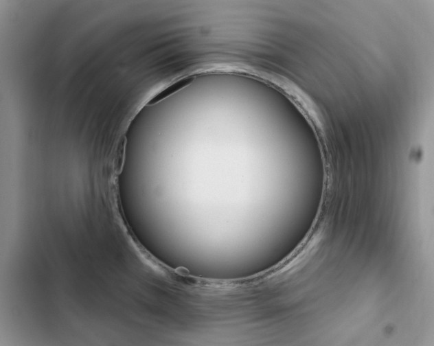 X0000102831385200808181039