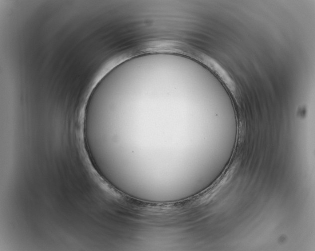 X0000102831386200808181039