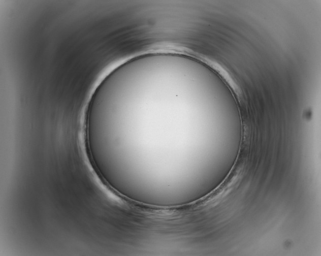 X0000102831387200808181039