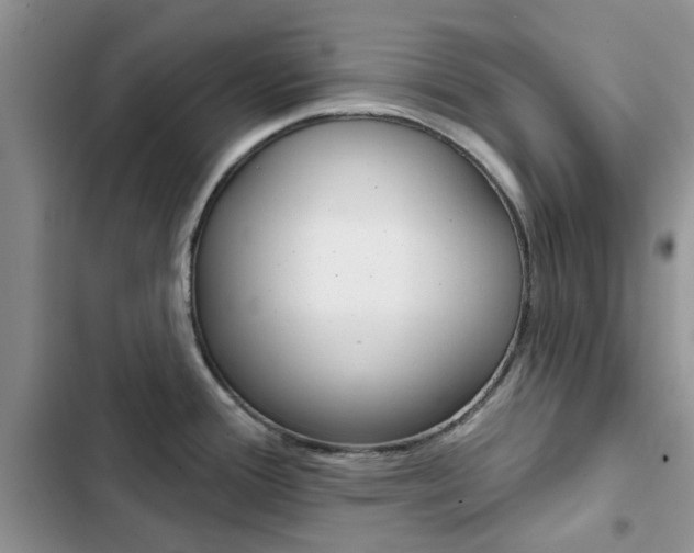 X0000102831388200808181039