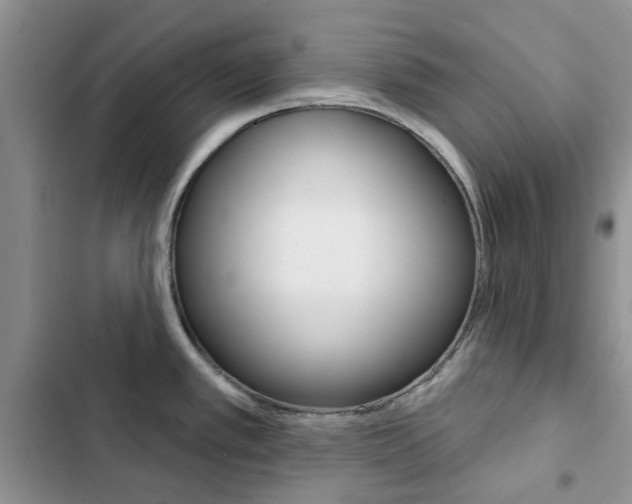 X0000102831389200808181039