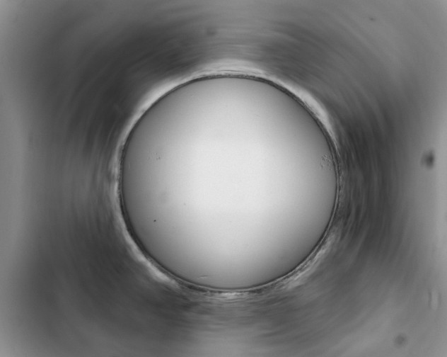 X0000102831390200808181039