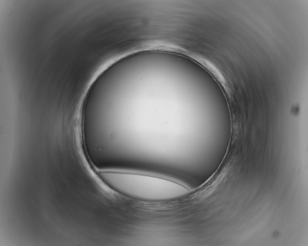 X0000102831391200808181039
