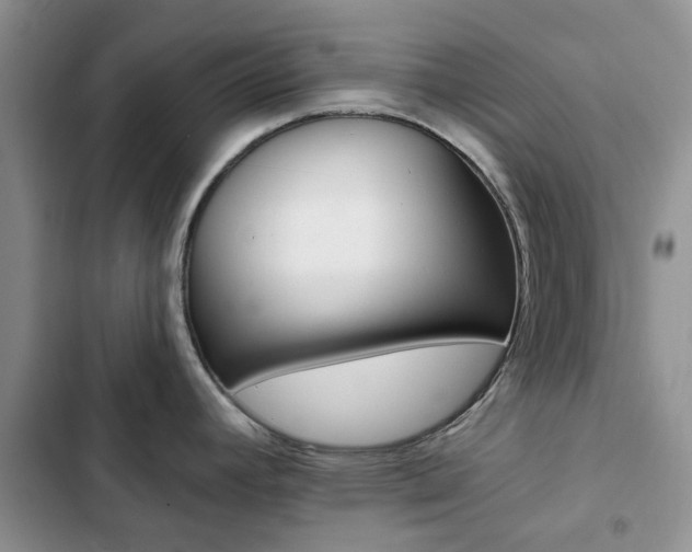 X0000102831392200808181039