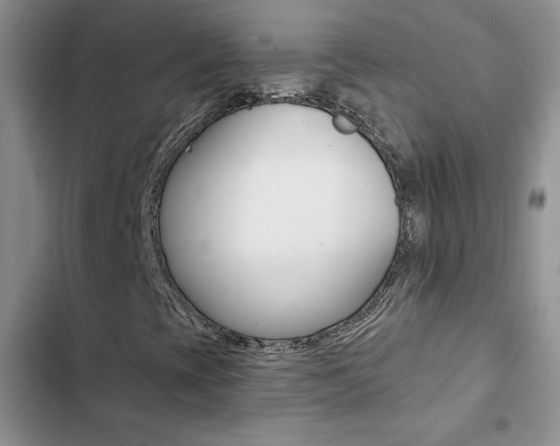 X0000102831393200808181038