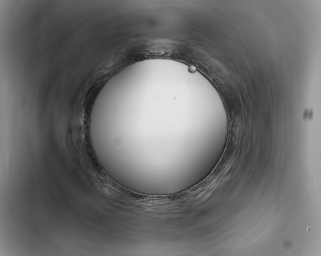 X0000102831394200808181038