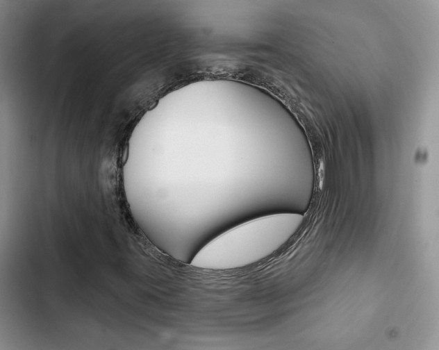 X0000102831395200808181038
