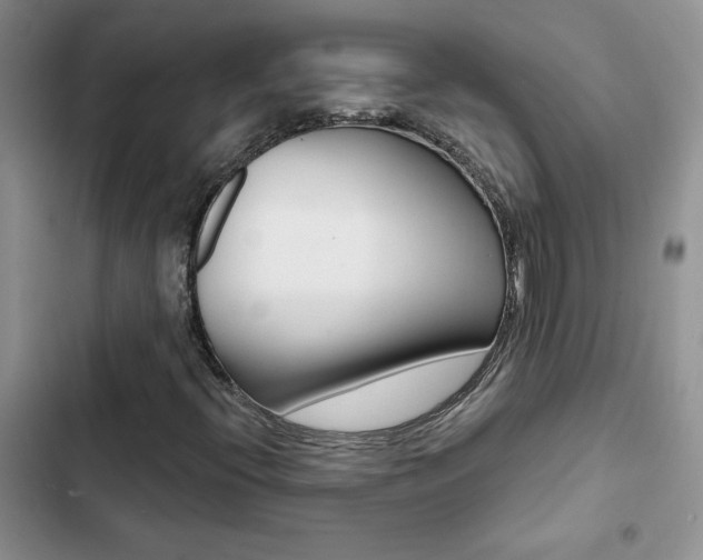 X0000102831396200808181038