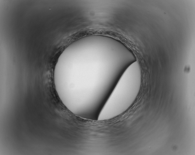 X0000102831397200808181038