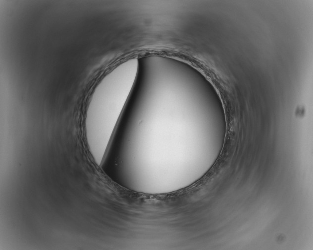 X0000102831398200808181038
