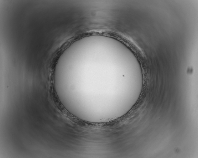 X0000102831399200808181038